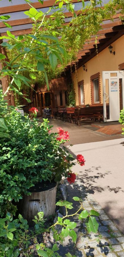 Siedlisko Pod Debem Hotel Wilimy Exterior foto